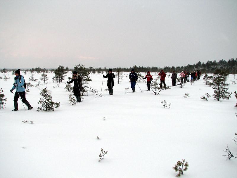 We will go on a hike in Kakerdaja bog on wide hiking skis that can be attached to any type of footwear. To offer you a special experience, we will dri