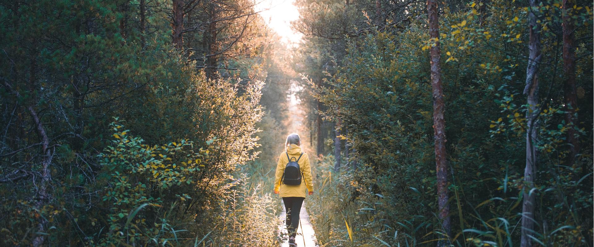 The first part of the trail is a dirt road that runs along the high-voltage power line. The track then reaches the Marimetsa Brook and leads to the re