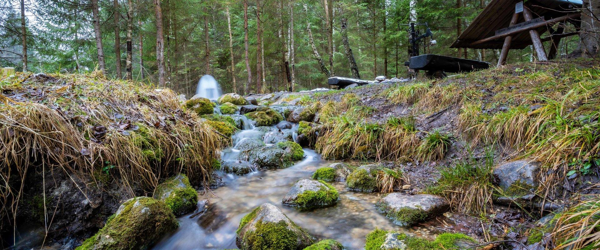 The western section of Endla Nature Reserve is home to the Norra-Oostriku springs: nearly 40 springs of different groups are located next to a 10 km s