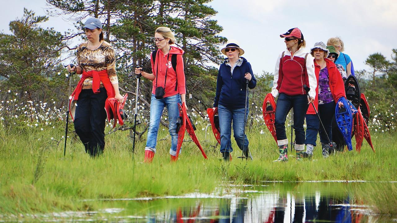 The hike. We begin out journey at the Nokko bonfire site and take our bog shoeing hike up to the great bog lake in the middle of Kakerdaja bog. The ro