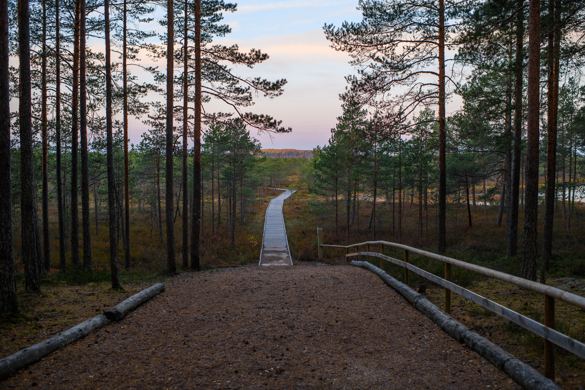 Meenikunno hiking trail